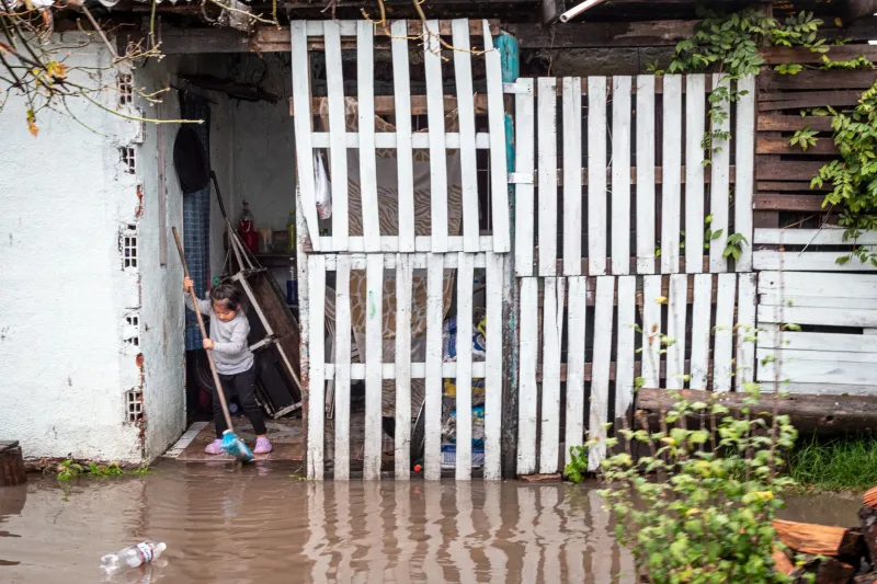 El escudo de agua que enterramos bajo el cemento: humedales urbanos y la batalla contra las inundaciones