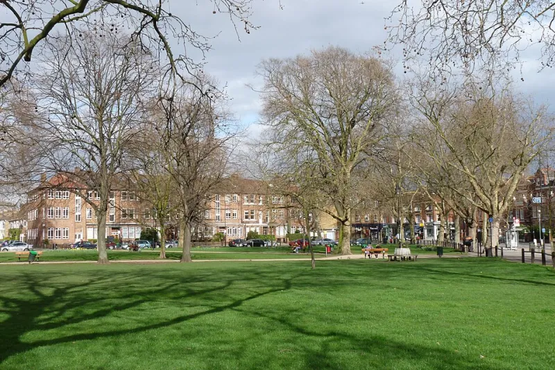 Verde urbano, mente sana: la ciencia detrás de las ciudades que cuidan a sus habitantes